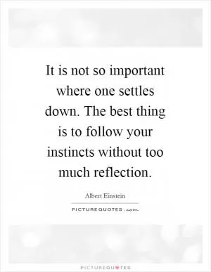 It is not so important where one settles down. The best thing is to follow your instincts without too much reflection Picture Quote #1