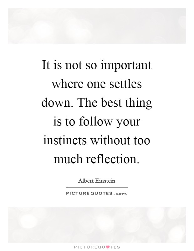 It is not so important where one settles down. The best thing is to follow your instincts without too much reflection Picture Quote #1