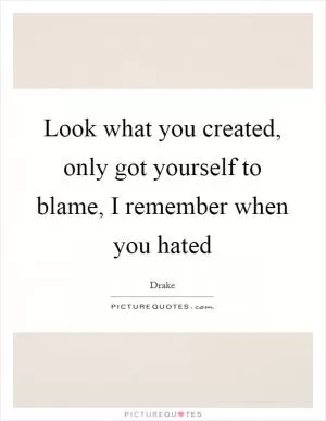 Look what you created, only got yourself to blame, I remember when you hated Picture Quote #1