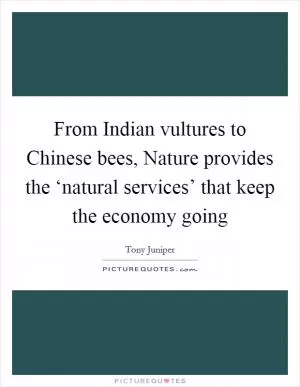 From Indian vultures to Chinese bees, Nature provides the ‘natural services’ that keep the economy going Picture Quote #1