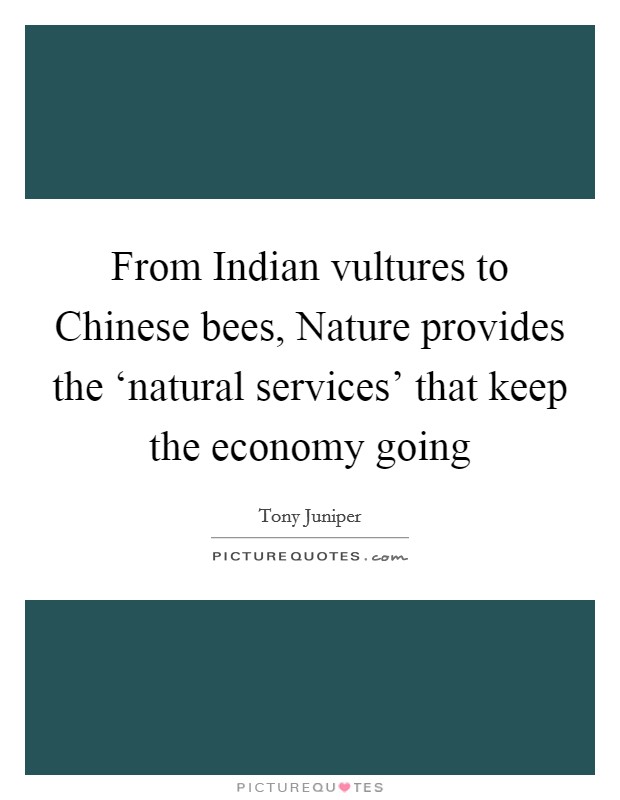 From Indian vultures to Chinese bees, Nature provides the ‘natural services' that keep the economy going Picture Quote #1