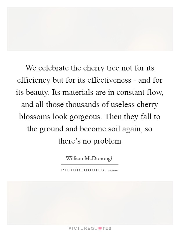 We celebrate the cherry tree not for its efficiency but for its effectiveness - and for its beauty. Its materials are in constant flow, and all those thousands of useless cherry blossoms look gorgeous. Then they fall to the ground and become soil again, so there's no problem Picture Quote #1