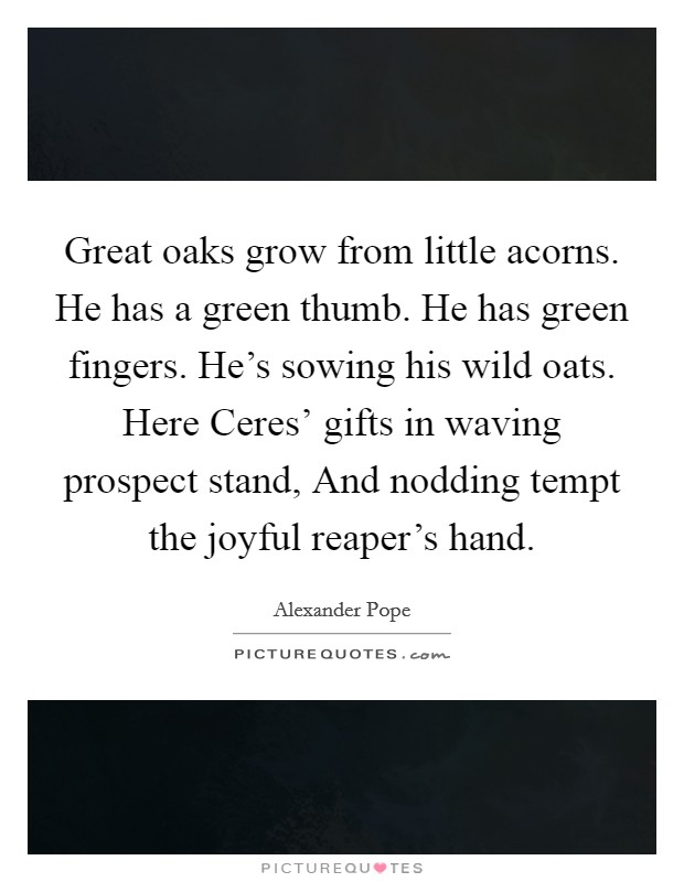 Great oaks grow from little acorns. He has a green thumb. He has green fingers. He's sowing his wild oats. Here Ceres' gifts in waving prospect stand, And nodding tempt the joyful reaper's hand Picture Quote #1