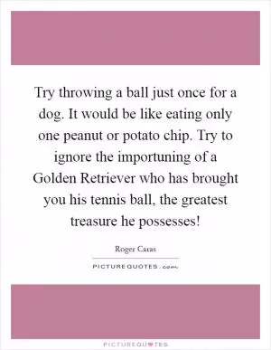 Try throwing a ball just once for a dog. It would be like eating only one peanut or potato chip. Try to ignore the importuning of a Golden Retriever who has brought you his tennis ball, the greatest treasure he possesses! Picture Quote #1