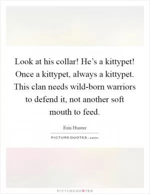 Look at his collar! He’s a kittypet! Once a kittypet, always a kittypet. This clan needs wild-born warriors to defend it, not another soft mouth to feed Picture Quote #1