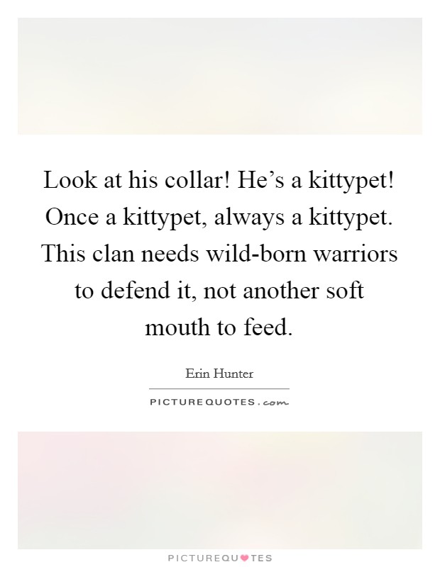 Look at his collar! He's a kittypet! Once a kittypet, always a kittypet. This clan needs wild-born warriors to defend it, not another soft mouth to feed Picture Quote #1