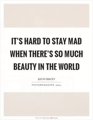 It’s Hard to Stay Mad When There’s So Much Beauty in the World Picture Quote #1