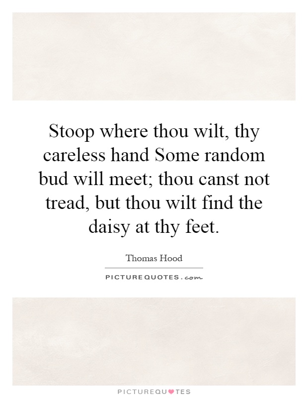 Stoop where thou wilt, thy careless hand Some random bud will meet; thou canst not tread, but thou wilt find the daisy at thy feet Picture Quote #1