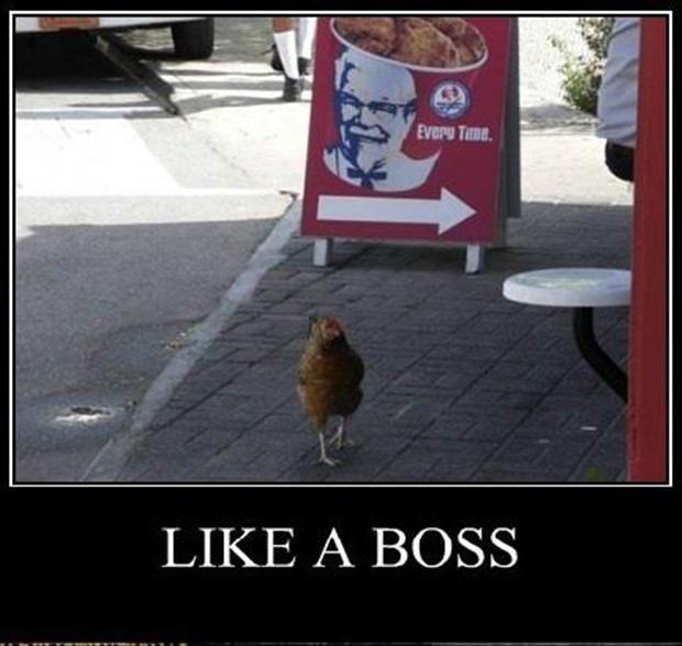Like a boss Picture Quote #3
