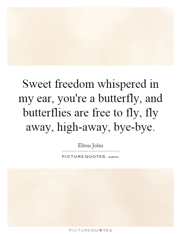Sweet freedom whispered in my ear, you're a butterfly, and butterflies are free to fly, fly away, high-away, bye-bye Picture Quote #1