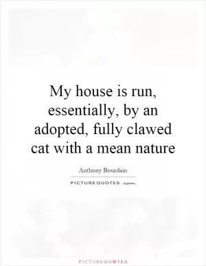 My house is run, essentially, by an adopted, fully clawed cat with a mean nature Picture Quote #1