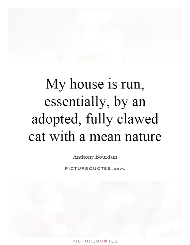 My house is run, essentially, by an adopted, fully clawed cat with a mean nature Picture Quote #1