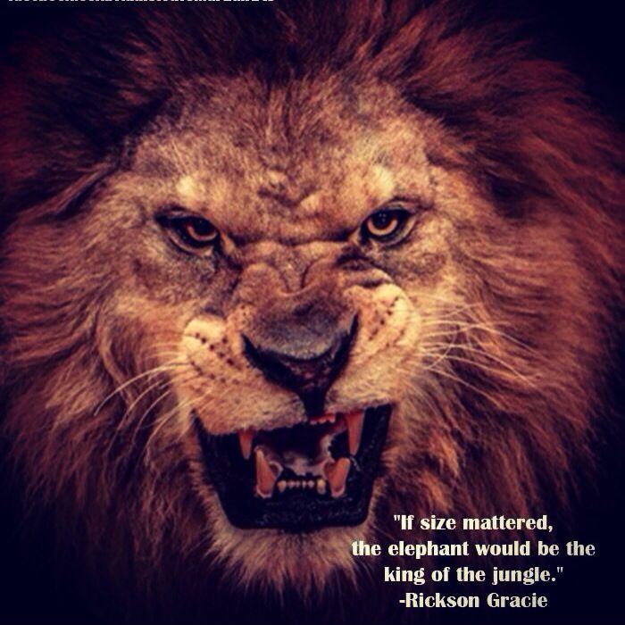 If size mattered, the elephant would be king of the jungle Picture Quote #1