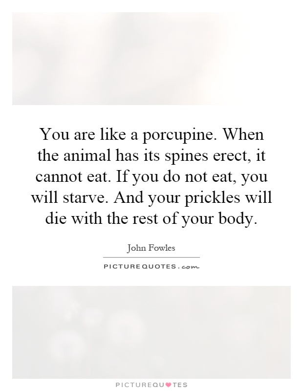You are like a porcupine. When the animal has its spines erect, it cannot eat. If you do not eat, you will starve. And your prickles will die with the rest of your body Picture Quote #1