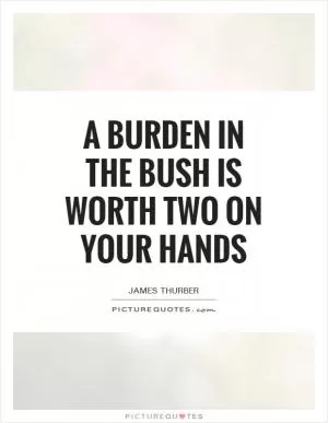 A burden in the bush is worth two on your hands Picture Quote #1