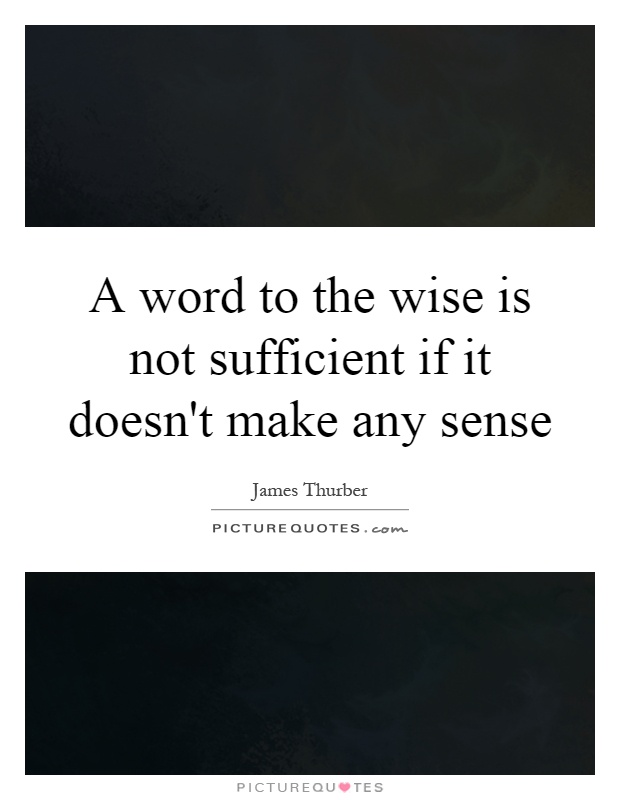 A word to the wise is not sufficient if it doesn't make any sense Picture Quote #1