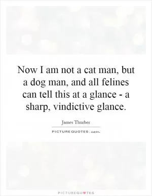 Now I am not a cat man, but a dog man, and all felines can tell this at a glance - a sharp, vindictive glance Picture Quote #1