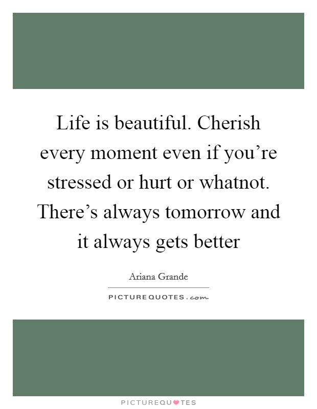 Life is beautiful. Cherish every moment even if you're stressed or hurt or whatnot. There's always tomorrow and it always gets better Picture Quote #1