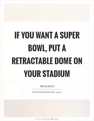 If you want a Super Bowl, put a retractable dome on your stadium Picture Quote #1