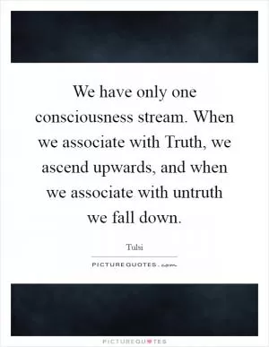 We have only one consciousness stream. When we associate with Truth, we ascend upwards, and when we associate with untruth we fall down Picture Quote #1