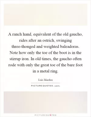 A ranch hand, equivalent of the old gaucho, rides after an ostrich, swinging three-thonged and weighted baleadoras. Note how only the toe of the boot is in the stirrup iron. In old times, the gaucho often rode with only the great toe of the bare foot in a metal ring Picture Quote #1