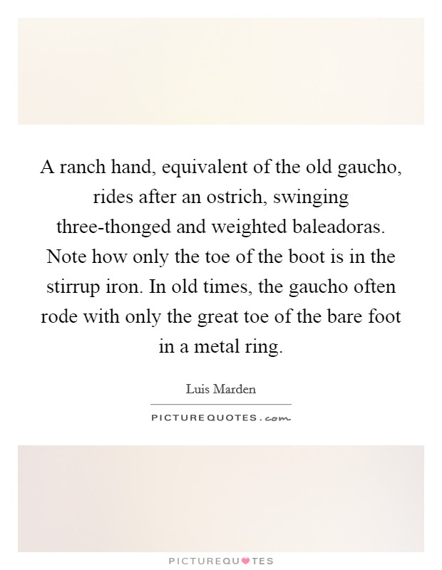 A ranch hand, equivalent of the old gaucho, rides after an ostrich, swinging three-thonged and weighted baleadoras. Note how only the toe of the boot is in the stirrup iron. In old times, the gaucho often rode with only the great toe of the bare foot in a metal ring Picture Quote #1