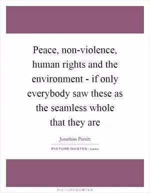 Peace, non-violence, human rights and the environment - if only everybody saw these as the seamless whole that they are Picture Quote #1