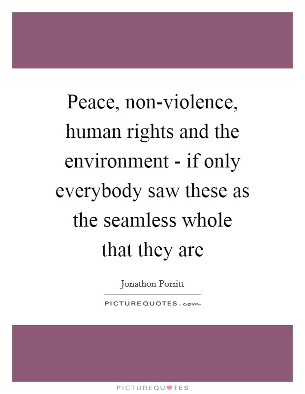 Peace, non-violence, human rights and the environment - if only everybody saw these as the seamless whole that they are Picture Quote #1