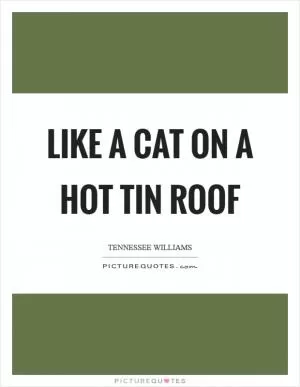 Like a Cat on a hot tin roof Picture Quote #1