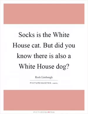Socks is the White House cat. But did you know there is also a White House dog? Picture Quote #1