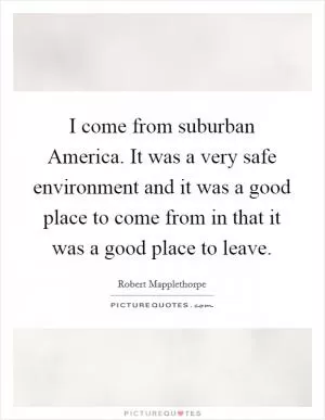 I come from suburban America. It was a very safe environment and it was a good place to come from in that it was a good place to leave Picture Quote #1