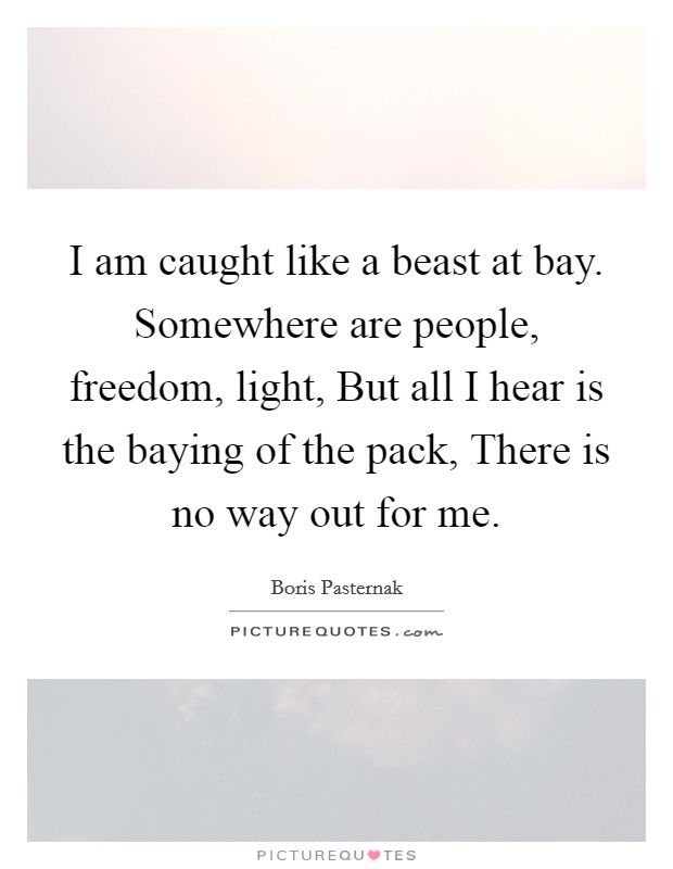 I am caught like a beast at bay. Somewhere are people, freedom, light, But all I hear is the baying of the pack, There is no way out for me Picture Quote #1