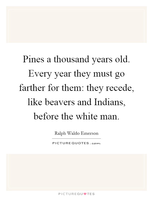 Pines a thousand years old. Every year they must go farther for them: they recede, like beavers and Indians, before the white man Picture Quote #1