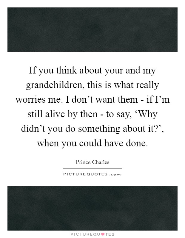 If you think about your and my grandchildren, this is what really worries me. I don't want them - if I'm still alive by then - to say, ‘Why didn't you do something about it?', when you could have done Picture Quote #1