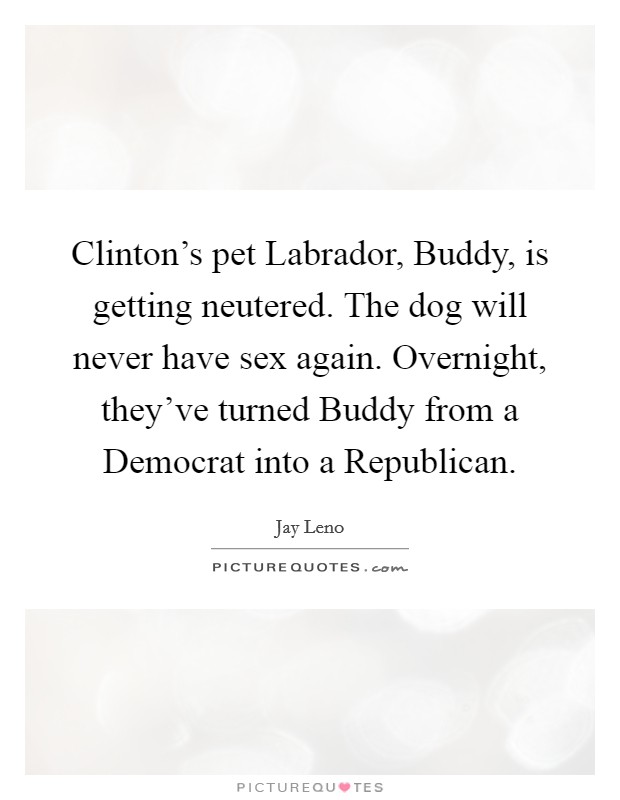 Clinton's pet Labrador, Buddy, is getting neutered. The dog will never have sex again. Overnight, they've turned Buddy from a Democrat into a Republican Picture Quote #1