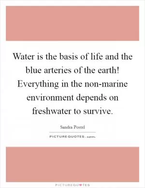 Water is the basis of life and the blue arteries of the earth! Everything in the non-marine environment depends on freshwater to survive Picture Quote #1