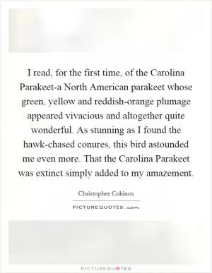 I read, for the first time, of the Carolina Parakeet-a North American parakeet whose green, yellow and reddish-orange plumage appeared vivacious and altogether quite wonderful. As stunning as I found the hawk-chased conures, this bird astounded me even more. That the Carolina Parakeet was extinct simply added to my amazement Picture Quote #1