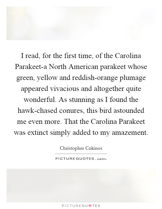 I read, for the first time, of the Carolina Parakeet-a North American parakeet whose green, yellow and reddish-orange plumage appeared vivacious and altogether quite wonderful. As stunning as I found the hawk-chased conures, this bird astounded me even more. That the Carolina Parakeet was extinct simply added to my amazement Picture Quote #1