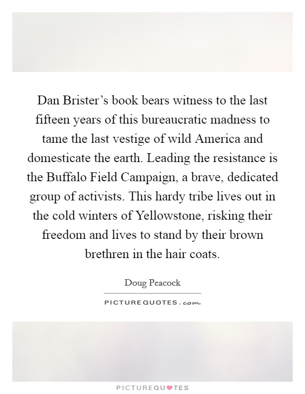 Dan Brister's book bears witness to the last fifteen years of this bureaucratic madness to tame the last vestige of wild America and domesticate the earth. Leading the resistance is the Buffalo Field Campaign, a brave, dedicated group of activists. This hardy tribe lives out in the cold winters of Yellowstone, risking their freedom and lives to stand by their brown brethren in the hair coats Picture Quote #1