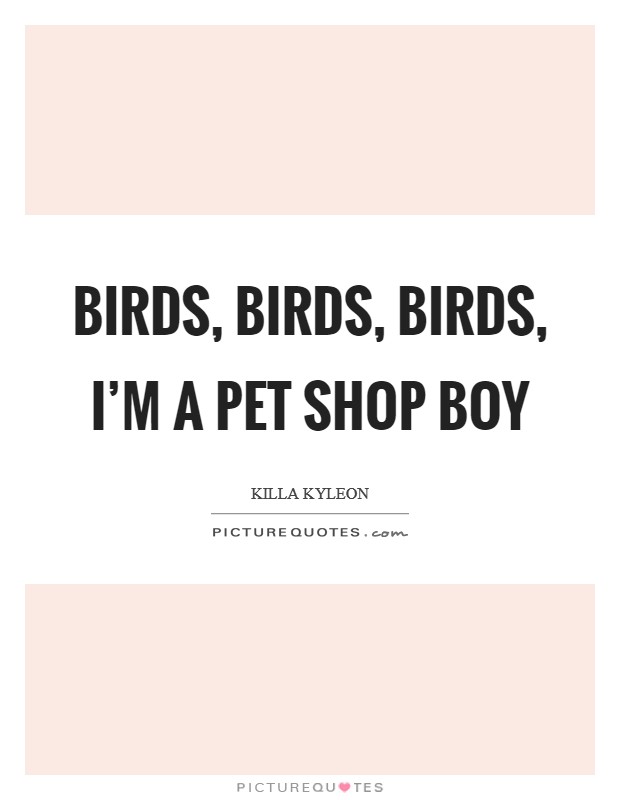 Birds, birds, birds, I'm a Pet Shop Boy Picture Quote #1