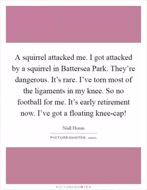 A squirrel attacked me. I got attacked by a squirrel in Battersea Park. They’re dangerous. It’s rare. I’ve torn most of the ligaments in my knee. So no football for me. It’s early retirement now. I’ve got a floating knee-cap! Picture Quote #1