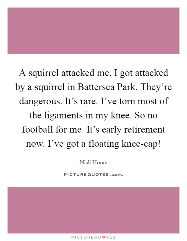 A squirrel attacked me. I got attacked by a squirrel in Battersea Park. They're dangerous. It's rare. I've torn most of the ligaments in my knee. So no football for me. It's early retirement now. I've got a floating knee-cap! Picture Quote #1