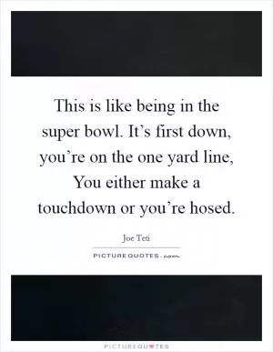 This is like being in the super bowl. It’s first down, you’re on the one yard line, You either make a touchdown or you’re hosed Picture Quote #1