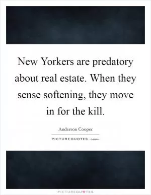 New Yorkers are predatory about real estate. When they sense softening, they move in for the kill Picture Quote #1