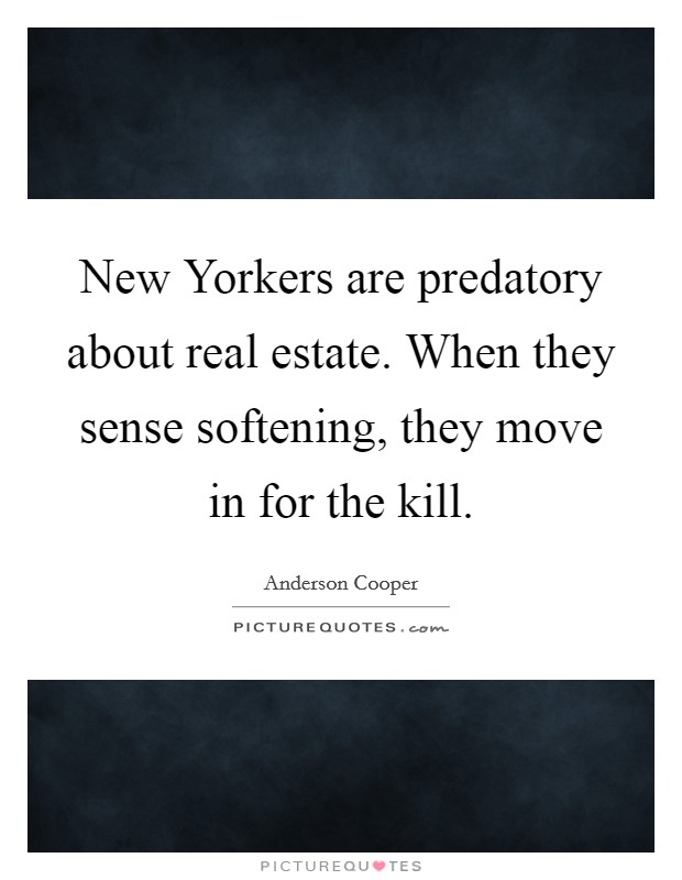 New Yorkers are predatory about real estate. When they sense softening, they move in for the kill Picture Quote #1