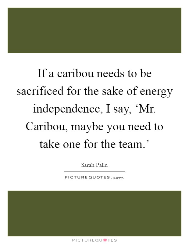 If a caribou needs to be sacrificed for the sake of energy independence, I say, ‘Mr. Caribou, maybe you need to take one for the team.' Picture Quote #1