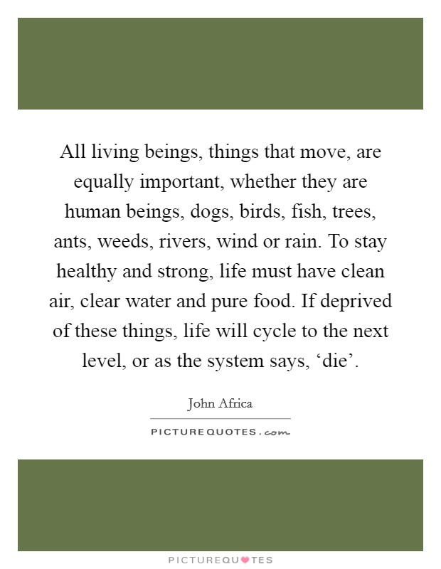 All living beings, things that move, are equally important, whether they are human beings, dogs, birds, fish, trees, ants, weeds, rivers, wind or rain. To stay healthy and strong, life must have clean air, clear water and pure food. If deprived of these things, life will cycle to the next level, or as the system says, ‘die' Picture Quote #1