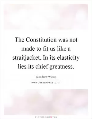 The Constitution was not made to fit us like a straitjacket. In its elasticity lies its chief greatness Picture Quote #1