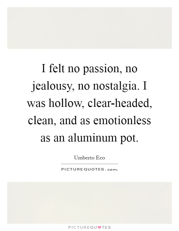 I felt no passion, no jealousy, no nostalgia. I was hollow, clear-headed, clean, and as emotionless as an aluminum pot Picture Quote #1