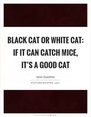 Black cat or white cat: If it can catch mice, it’s a good cat Picture Quote #1